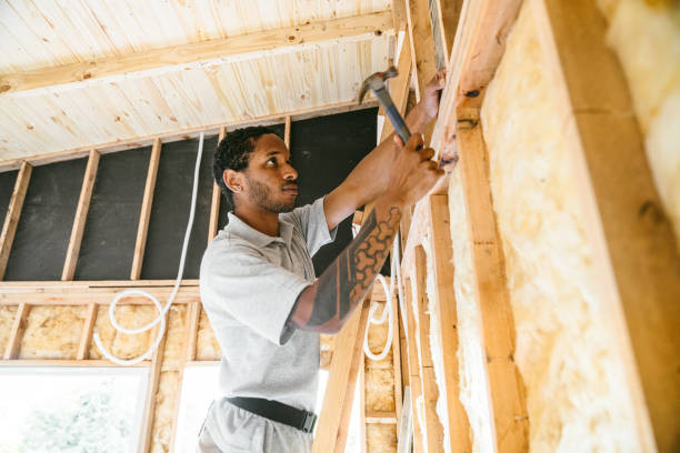 Insulation for Commercial Buildings in Steele Creek, AK